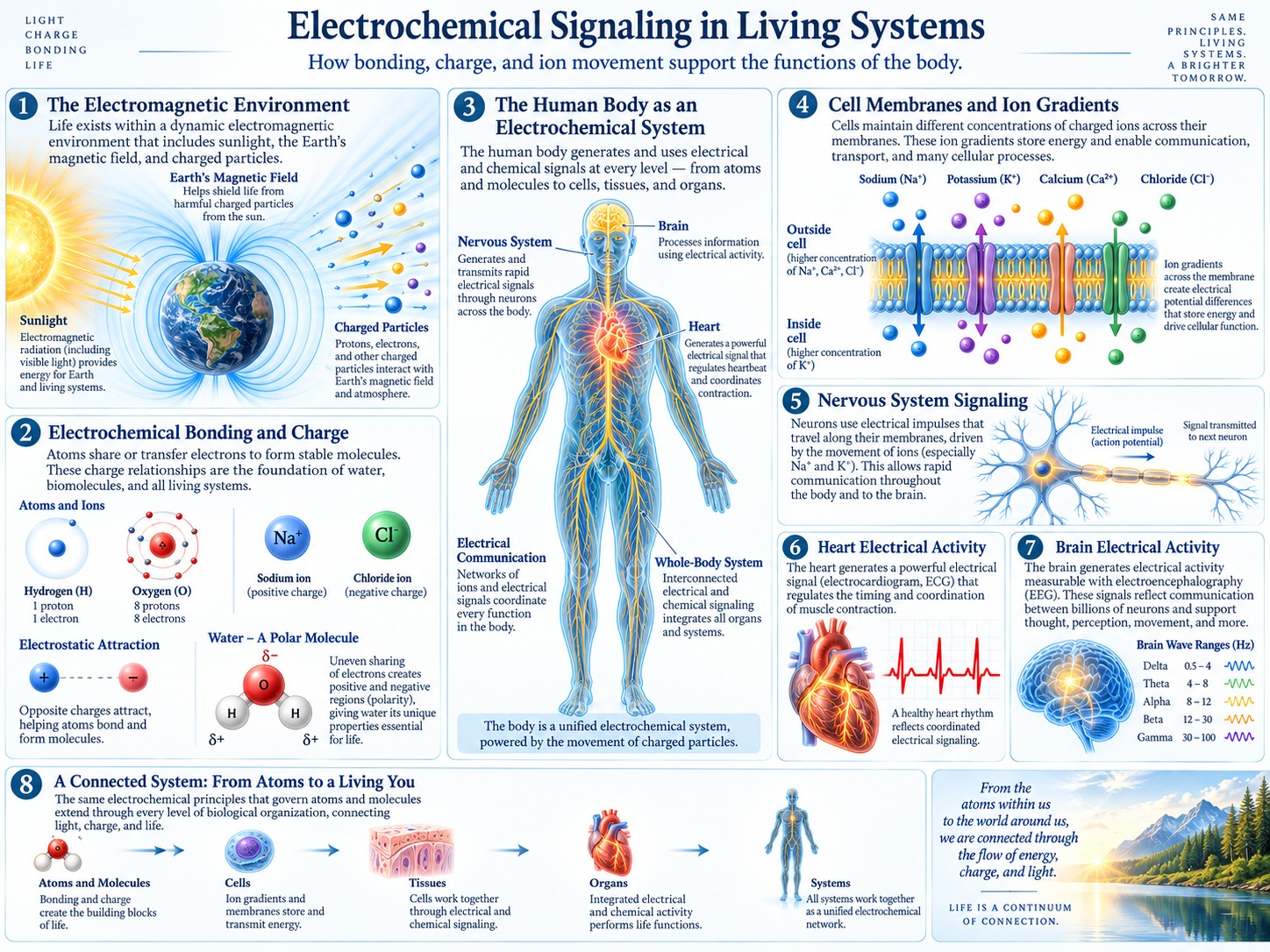 Electrochemical signaling in living systems visual plate