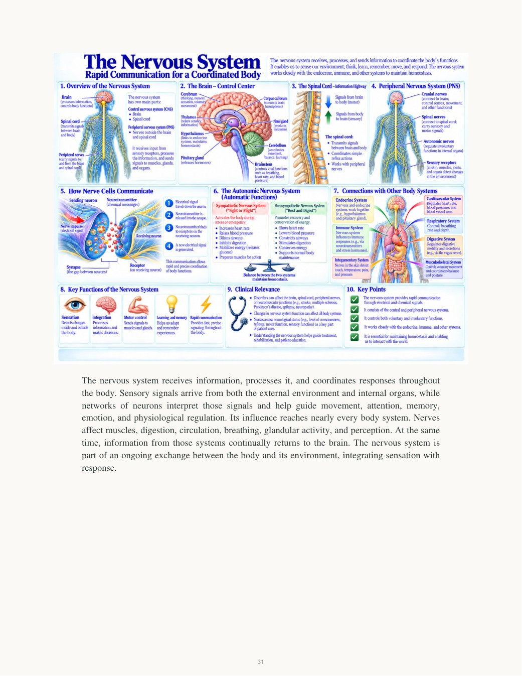 Nervous system visual plate